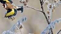 Klima, natur og mennesker: en felles fremtid for planeten vår